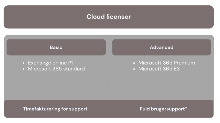 Cloud licenser